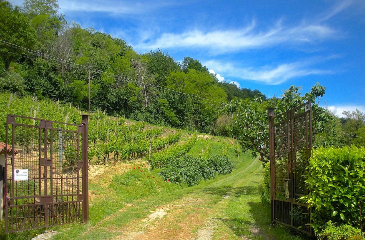 Vila Cascina Tra I Vigneti A Nizza Monferrato Exteriér fotografie
